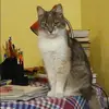 Отзыв от Любовь Ильинская